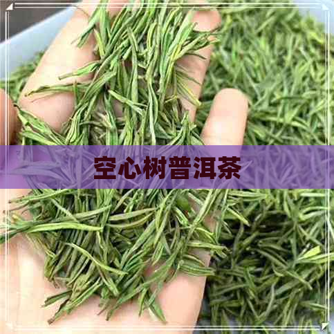 空心树普洱茶