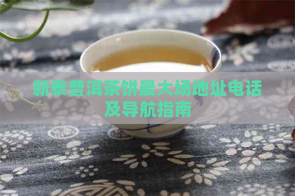 新泰普洱茶饼更大场地址电话及导航指南