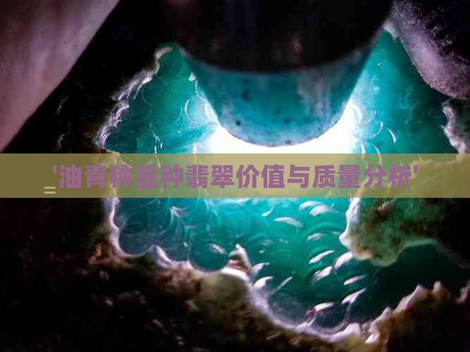 '油青种豆种翡翠价值与质量分析'