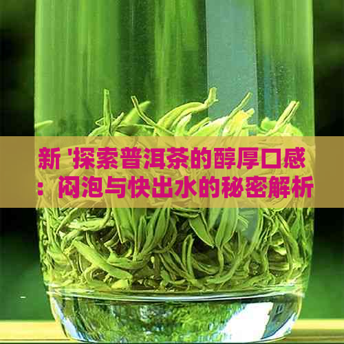 新 '探索普洱茶的醇厚口感：闷泡与快出水的秘密解析'