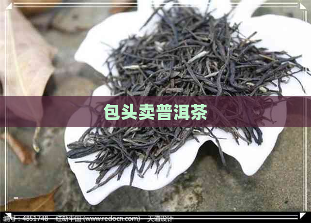 包头卖普洱茶