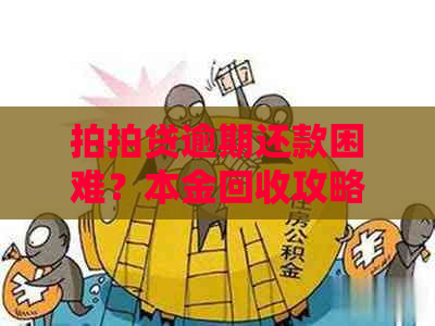 逾期还款困难？本金回收攻略助您一臂之力！