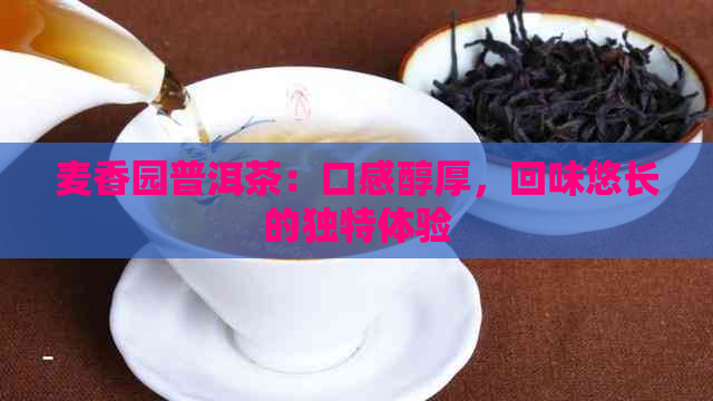 麦香园普洱茶：口感醇厚，回味悠长的独特体验