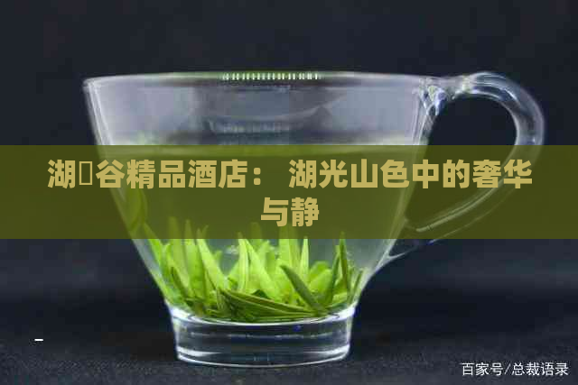 湖俫谷精品酒店： 湖光山色中的奢华与静