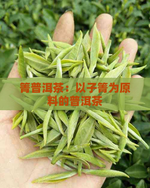 箐普洱茶：以子箐为原料的普洱茶