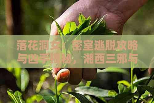 落花洞女：密室逃脱攻略与凶手揭秘，湘西三邪与不良人第四的关联解析