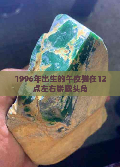 1996年出生的午夜猫在12点左右崭露头角