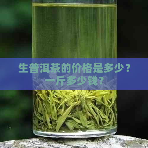 生普洱茶的价格是多少？一斤多少钱？