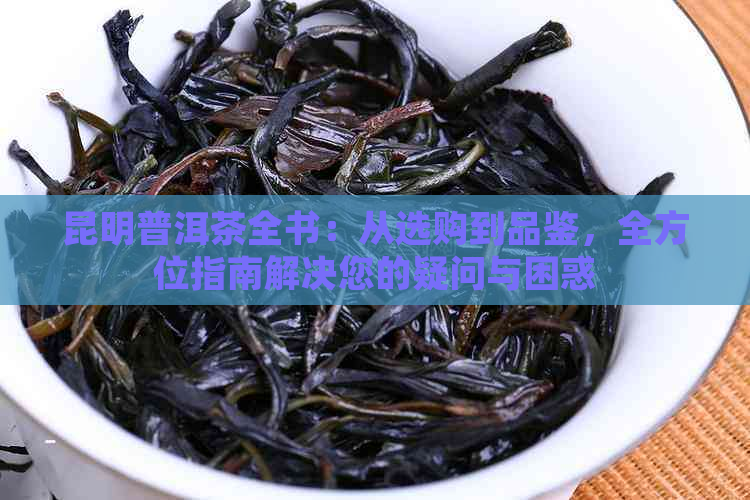 昆明普洱茶全书：从选购到品鉴，全方位指南解决您的疑问与困惑