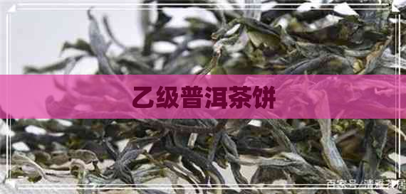 乙级普洱茶饼