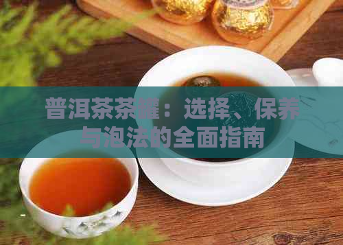 普洱茶茶罐：选择、保养与泡法的全面指南