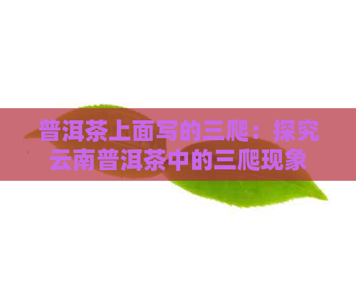 普洱茶上面写的三爬：探究云南普洱茶中的三爬现象