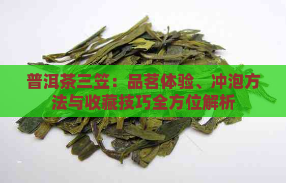 普洱茶三笠：品茗体验、冲泡方法与收藏技巧全方位解析