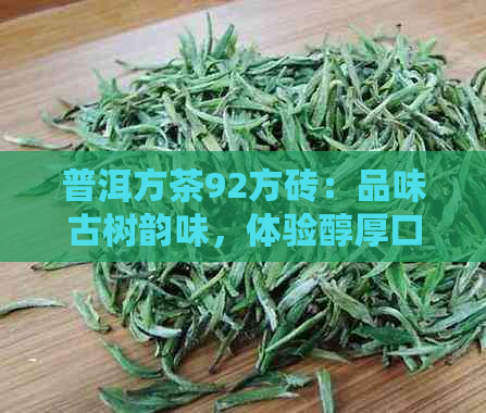 普洱方茶92方砖：品味古树韵味，体验醇厚口感的全面指南