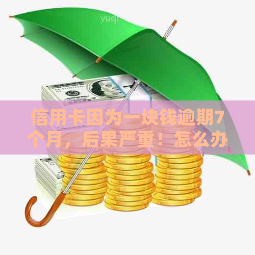 信用卡因为一块钱逾期7个月，后果严重！怎么办？