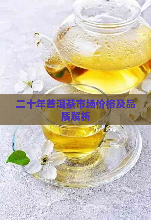 二十年普洱茶市场价格及品质解析