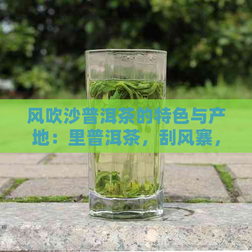 风吹沙普洱茶的特色与产地：里普洱茶，刮风寨，刮风寒普洱茶