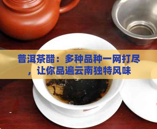 普洱茶醋：多种品种一网打尽，让你品遍云南独特风味