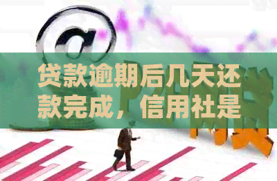 贷款逾期后几天还款完成，信用社是否允再次借款？如何确保贷款顺利进行？