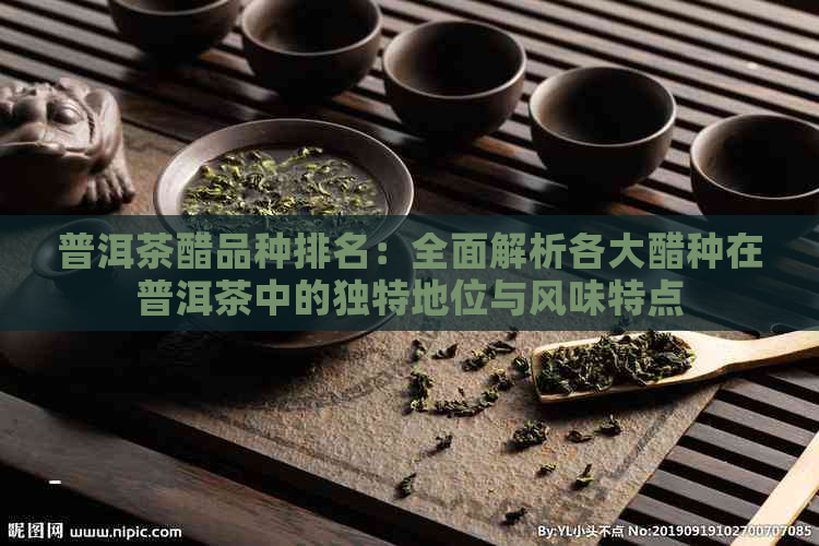 普洱茶醋品种排名：全面解析各大醋种在普洱茶中的独特地位与风味特点