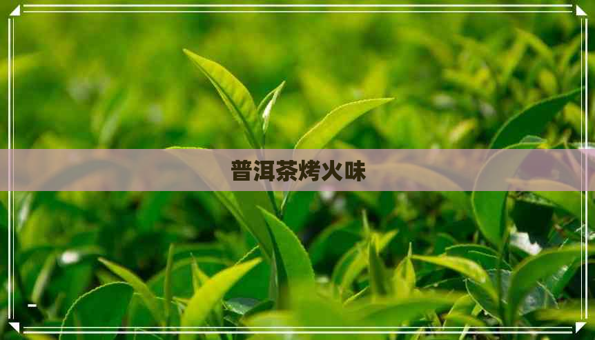 普洱茶烤火味