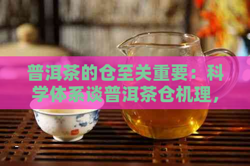 普洱茶的仓至关重要：科学体系谈普洱茶仓机理，各地特点与方法