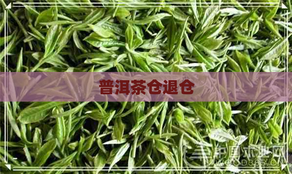 普洱茶仓退仓