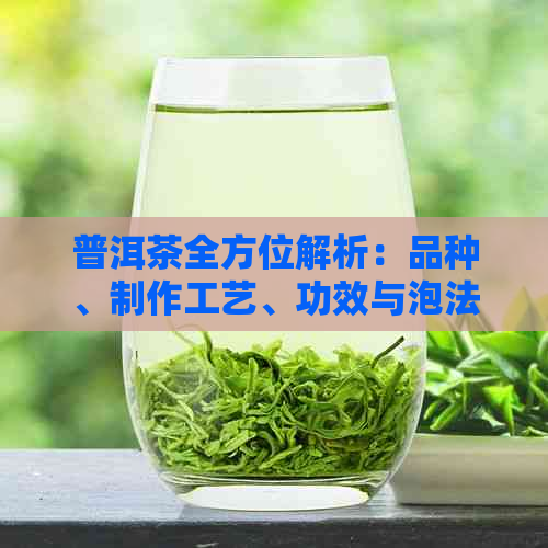 普洱茶全方位解析：品种、制作工艺、功效与泡法，助您挑选与品鉴完美普洱茶