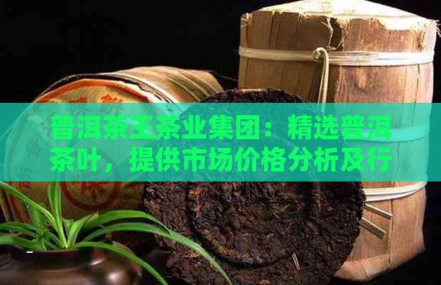 普洱茶王茶业集团：精选普洱茶叶，提供市场价格分析及行情走势