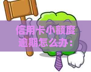 信用卡小额度逾期怎么办：清除记录，处理流程与补救措