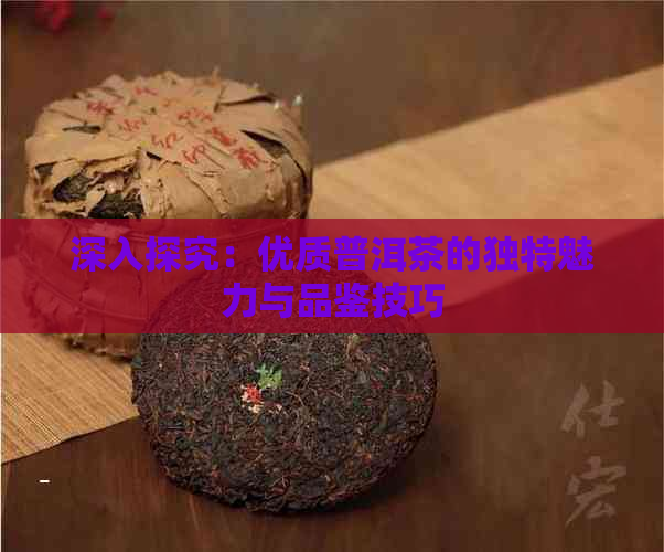 深入探究：优质普洱茶的独特魅力与品鉴技巧