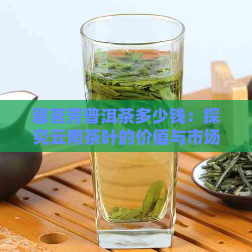 馨茗芳普洱茶多少钱：探究云南茶叶的价值与市场