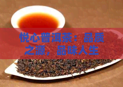 悦心普洱茶：品质之源，品味人生