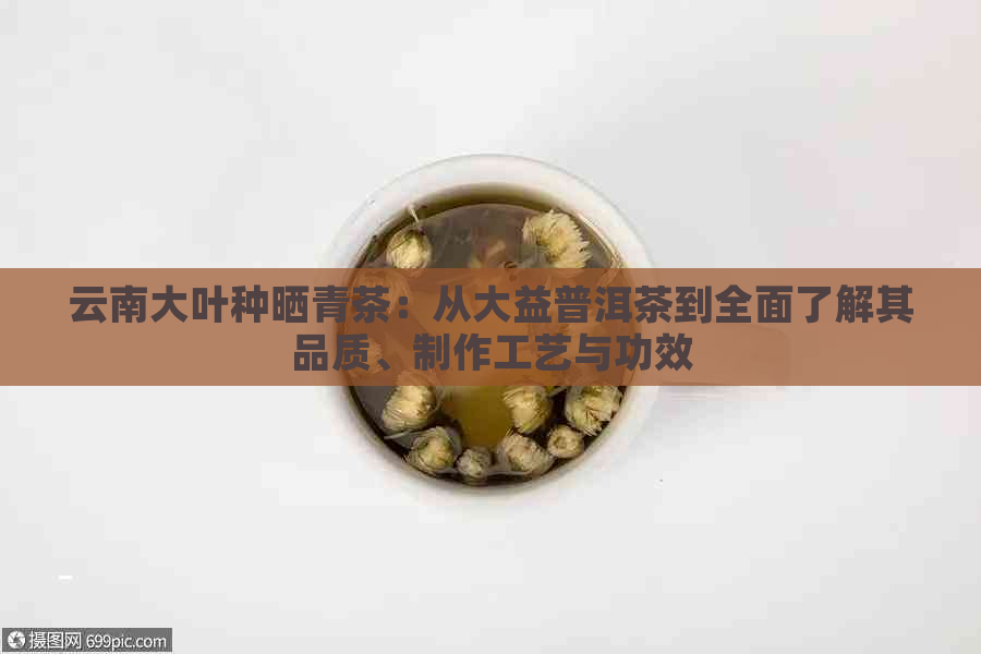 云南大叶种晒青茶：从大益普洱茶到全面了解其品质、制作工艺与功效