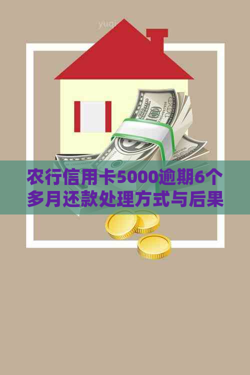 农行信用卡5000逾期6个多月还款处理方式与后果