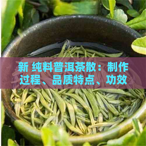 新 纯料普洱茶散：制作过程、品质特点、功效与冲泡方法的全面解析