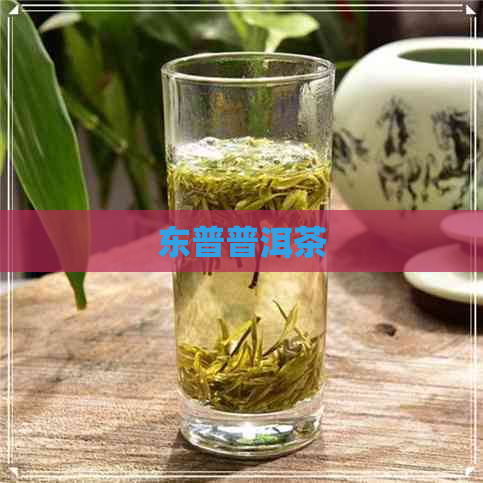 东普普洱茶