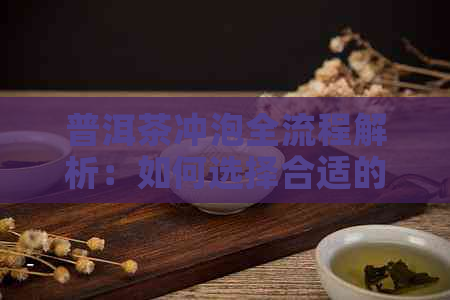 普洱茶冲泡全流程解析：如何选择合适的器具进行分茶？