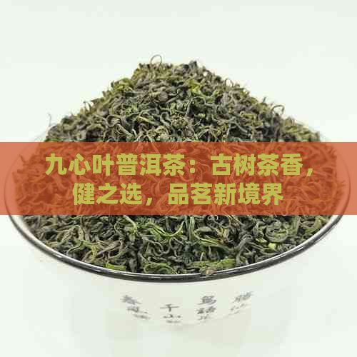 九心叶普洱茶：古树茶香，健之选，品茗新境界