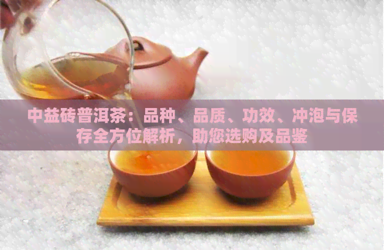 中益砖普洱茶：品种、品质、功效、冲泡与保存全方位解析，助您选购及品鉴