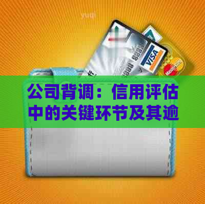 公司背调：信用评估中的关键环节及其逾期记录的影响