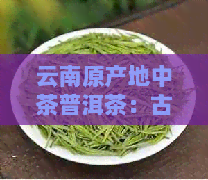 云南原产地中茶普洱茶：古树韵味，醇厚口感，健之选