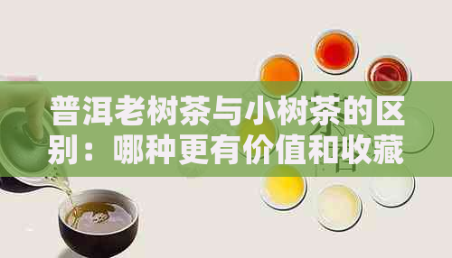 普洱老树茶与小树茶的区别：哪种更有价值和收藏意义？