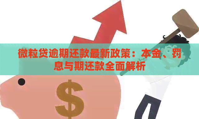 微粒贷逾期还款最新政策：本金、罚息与期还款全面解析