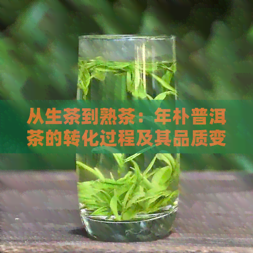 从生茶到熟茶：年朴普洱茶的转化过程及其品质变化解析