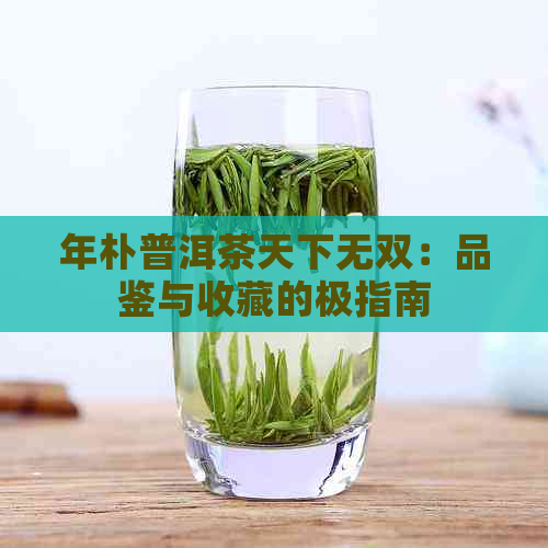 年朴普洱茶天下无双：品鉴与收藏的极指南