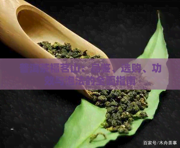 普洱茶福茗山：品鉴、选购、功效与泡法的全面指南