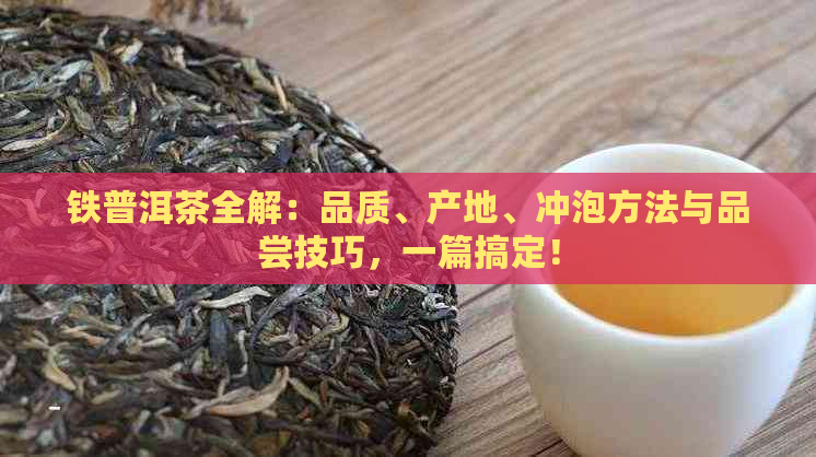 铁普洱茶全解：品质、产地、冲泡方法与品尝技巧，一篇搞定！