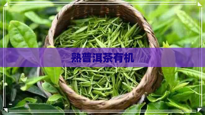 熟普洱茶有机