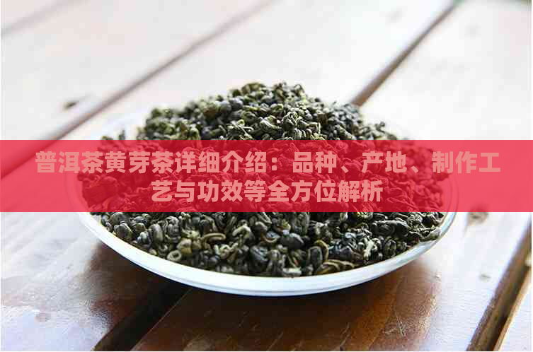 普洱茶黄芽茶详细介绍：品种、产地、制作工艺与功效等全方位解析